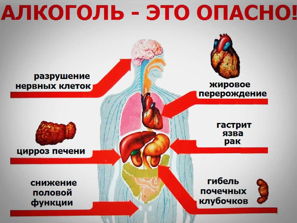 Алкоголь в малых дозах безвреден